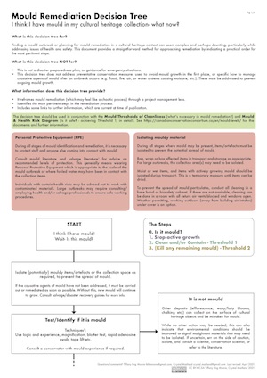 Preview image of Mould Remediation Decision Tree
