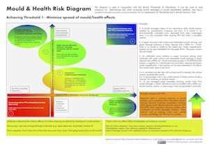 Preview Image of Mould & Health Risk Diagram